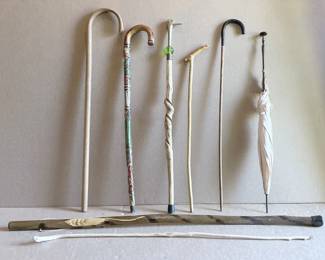 Walking Sticks Umbrella