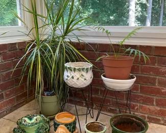 Potted Palms w Frog Turtle