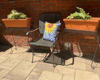 Sunflower Chair 2 Ferns