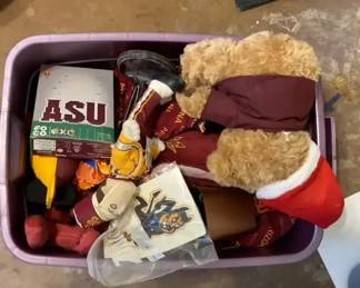 ASU Mystery Box