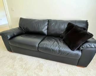 Black Leather Sleeper Sofa