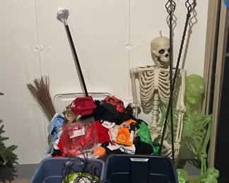 Halloween Decor And Costumes Mystery Lot