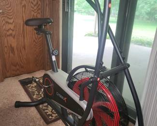 Airdyne Bike