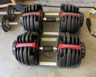 BowFlex Weights
