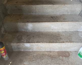 Stairs to get into the house. 