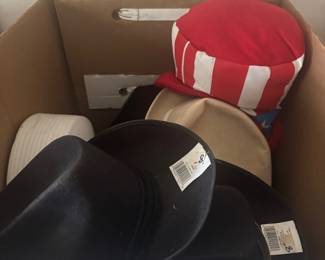 Assorted Costume Hats