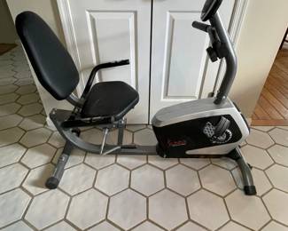 Sunny Health  Fitness recumbant exercise bike