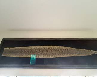 Framed rattlesnake skin