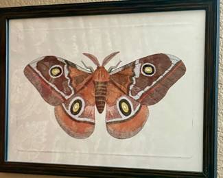 Butterfly / moth print 