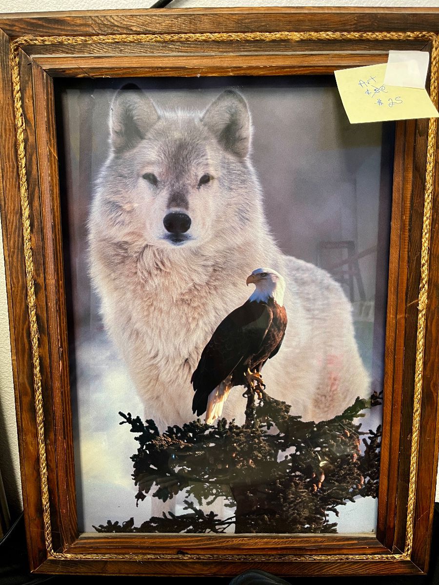 Beautiful wolf picture with American Eagle $25
