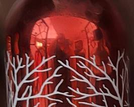 Brand new collectible bottle never opened $30