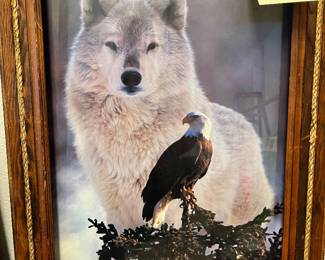 Beautiful wolf picture with American Eagle $25