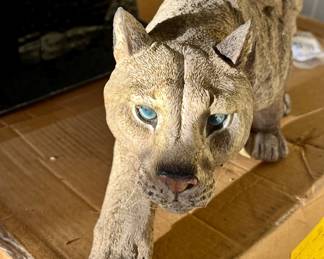 Mountain lion $10