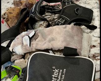 Three collar training set for your dog is $20 works