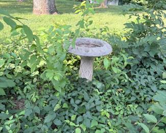 bird bath