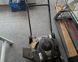 Bolens Push Lawn Mower