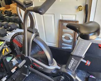 ASSAULT FITNESS BIKE