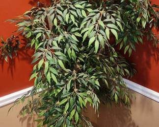 faux plant, 6ft tall!