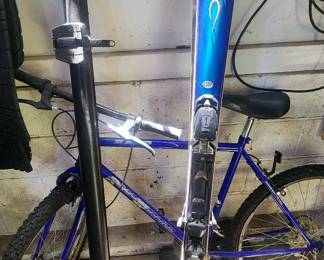 bike, skis