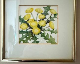 Mada Harrison Watercolor Dandelions