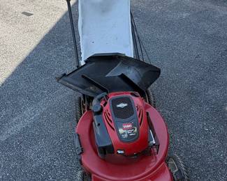 Toro Recycler 22" Self-Propelled Lawn Mower