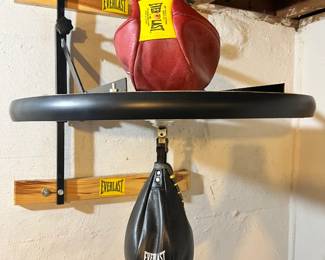 Everlast Speedbag