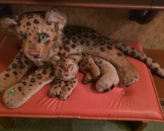 Large Steif Puma W Cub