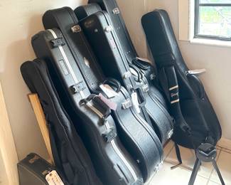 Guitars for beginners, fans, and professionals
