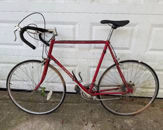 Schwinn