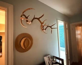 Antlers incl more in garage 