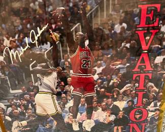Michael Jordan poster- ELEVATION!