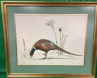 Ray Harm "Ring Necked Pheasant, beautifully framed and perfect!