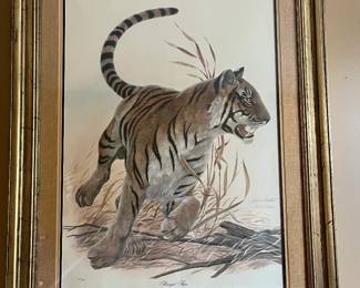 Gorgeous John A. Ruthven offset lithograph Bengal Tiger...numbered & signed...beautifully framed and stunning!