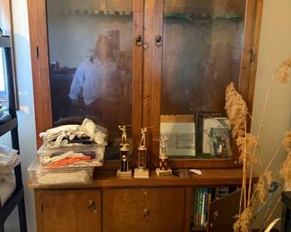 Locking gun cabinet