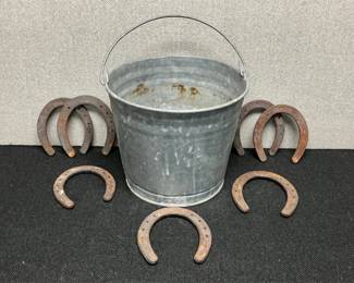 Galvanized steel buck and horsehoes