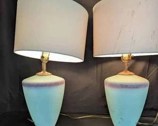 15CT135Vintage Matte Frosted Lamps