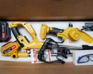 15CT176 2 In 1 Cordless Pole Saw and Mini Chainsaw Kit