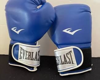 Everlast Pro Style Blue Boxing Gloves