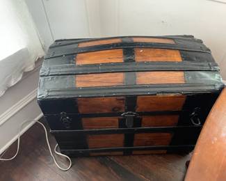 large trunk
