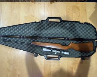 Ruger air hawk