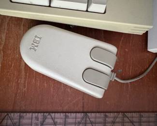 IBM mouse