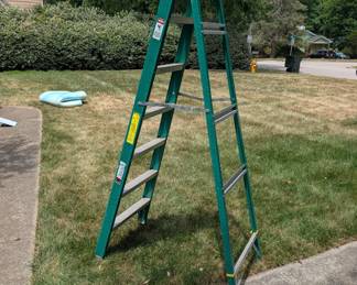 R111 - $40. Davidson 7' Step Ladder. Model W-3211-07