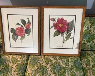 Botanical prints