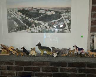 Tufts Univ campus and a few dogs!! 