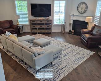 Licing area, 10 X 14 area rug