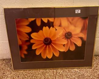 Framed flower print 