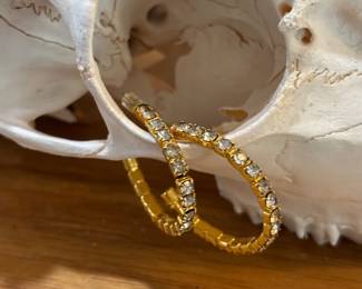 Hoop Earrings