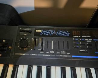 LORG POLY-800 II Polyphonic Synthesizer 49-Key Digital Delay