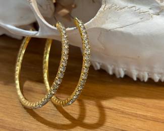 Hoop Earrings