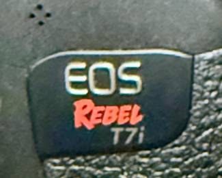 Canon Rebel T7i DSLR